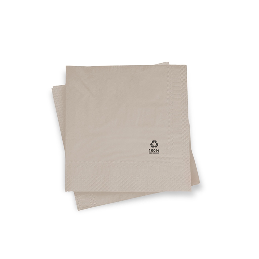 SERVILLETA 30X30 2C ECO. 48P-100