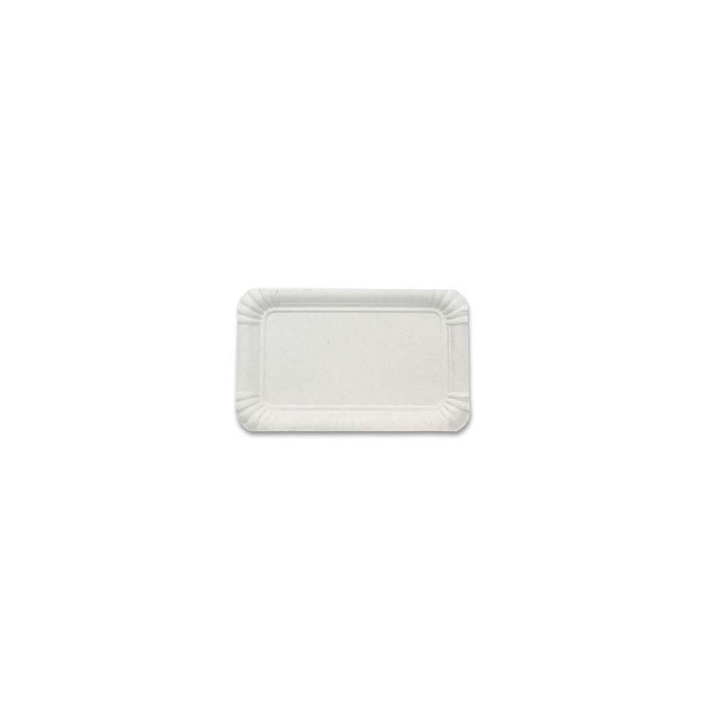 PQT-100 BANDEJA CARTON N3 12X19 (15X100)