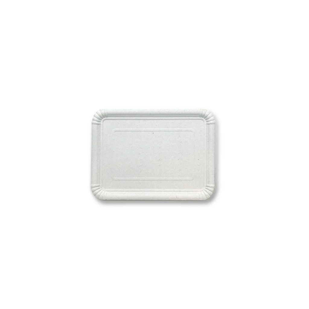 PQT-100 BANDEJA CARTON N6 18X24 (8X100)