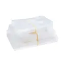 PQT-100 BOLSA VACIO 22X35 90 MC (12X100UDS)