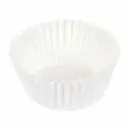 CAPSULA 87/25 REGIA C-500